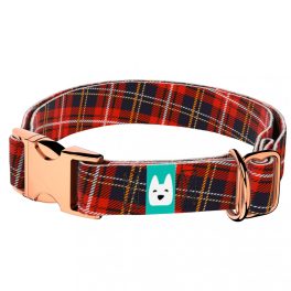 Klasszikus Piros Kockás - Kutya Nyakörv - april & june