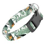 Papagájvirág - Kutya Nyakörv - april & june