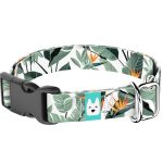 Papagájvirág - Kutya Nyakörv - april & june