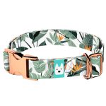 Papagájvirág - Kutya Nyakörv - april & june