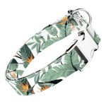 Papagájvirág - Kutya Nyakörv - april & june