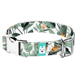 Papagájvirág - Kutya Nyakörv - april & june