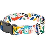 Dinók - Kutya Nyakörv - april & june