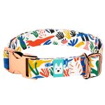 Dinók - Kutya Nyakörv - april & june