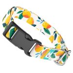 Mangó - Kutya Nyakörv - april & june