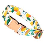 Mangó - Kutya Nyakörv - april & june