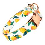 Mangó - Kutya Nyakörv - april & june