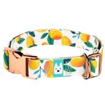 Mangó - Kutya Nyakörv - april & june