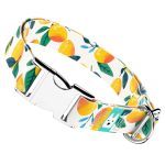 Mangó - Kutya Nyakörv - april & june