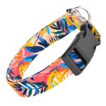 Színes nyári este - Kutya Nyakörv - april & june