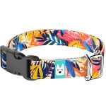 Színes nyári este - Kutya Nyakörv - april & june