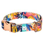 Színes nyári este - Kutya Nyakörv - april & june