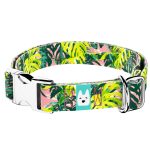 Monstera levelek rózsaszín alapon - Kutya Nyakörv - april & june