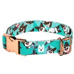 Cardigan Welsh Corgi, kék - Kutya Nyakörv - april & june