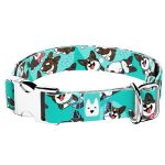 Cardigan Welsh Corgi, kék - Kutya Nyakörv - april & june