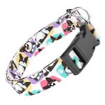 Cardigan Welsh Corgi - Kutya Nyakörv - april & june