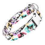 Cardigan Welsh Corgi - Kutya Nyakörv - april & june