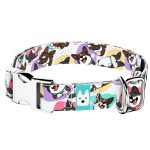 Cardigan Welsh Corgi - Kutya Nyakörv - april & june