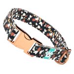 Fekete terrazzo - Kutya Nyakörv - april & june