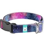 Galaxis - Kutya Nyakörv - april & june