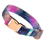 Galaxis - Kutya Nyakörv - april & june