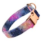 Galaxis - Kutya Nyakörv - april & june