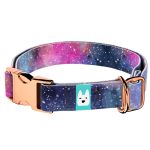 Galaxis - Kutya Nyakörv - april & june