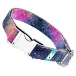 Galaxis - Kutya Nyakörv - april & june