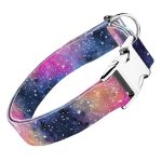 Galaxis - Kutya Nyakörv - april & june