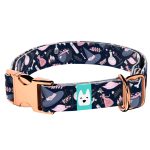 Boszorkány - Kutya Nyakörv - april & june