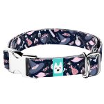 Boszorkány - Kutya Nyakörv - april & june