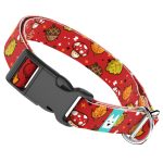 Cuki ősz - Kutya Nyakörv - april & june