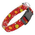 Cuki ősz - Kutya Nyakörv - april & june