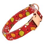 Cuki ősz - Kutya Nyakörv - april & june