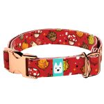 Cuki ősz - Kutya Nyakörv - april & june