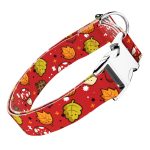 Cuki ősz - Kutya Nyakörv - april & june