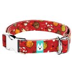 Cuki ősz - Kutya Nyakörv - april & june