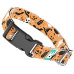 Halloween - Kutya Nyakörv - april & june