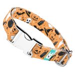 Halloween - Kutya Nyakörv - april & june