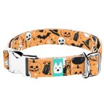 Halloween - Kutya Nyakörv - april & june