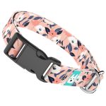 Őszi virágok - Kutya Nyakörv - april & june