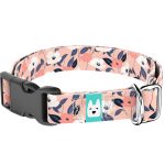 Őszi virágok - Kutya Nyakörv - april & june