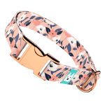 Őszi virágok - Kutya Nyakörv - april & june