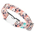 Őszi virágok - Kutya Nyakörv - april & june