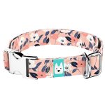 Őszi virágok - Kutya Nyakörv - april & june