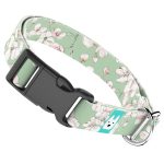 Tavaszi virágzás - Kutya Nyakörv - april & june