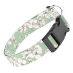 Tavaszi virágzás - Kutya Nyakörv - april & june