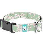 Tavaszi virágzás - Kutya Nyakörv - april & june