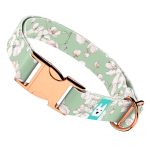 Tavaszi virágzás - Kutya Nyakörv - april & june