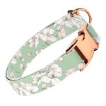 Tavaszi virágzás - Kutya Nyakörv - april & june